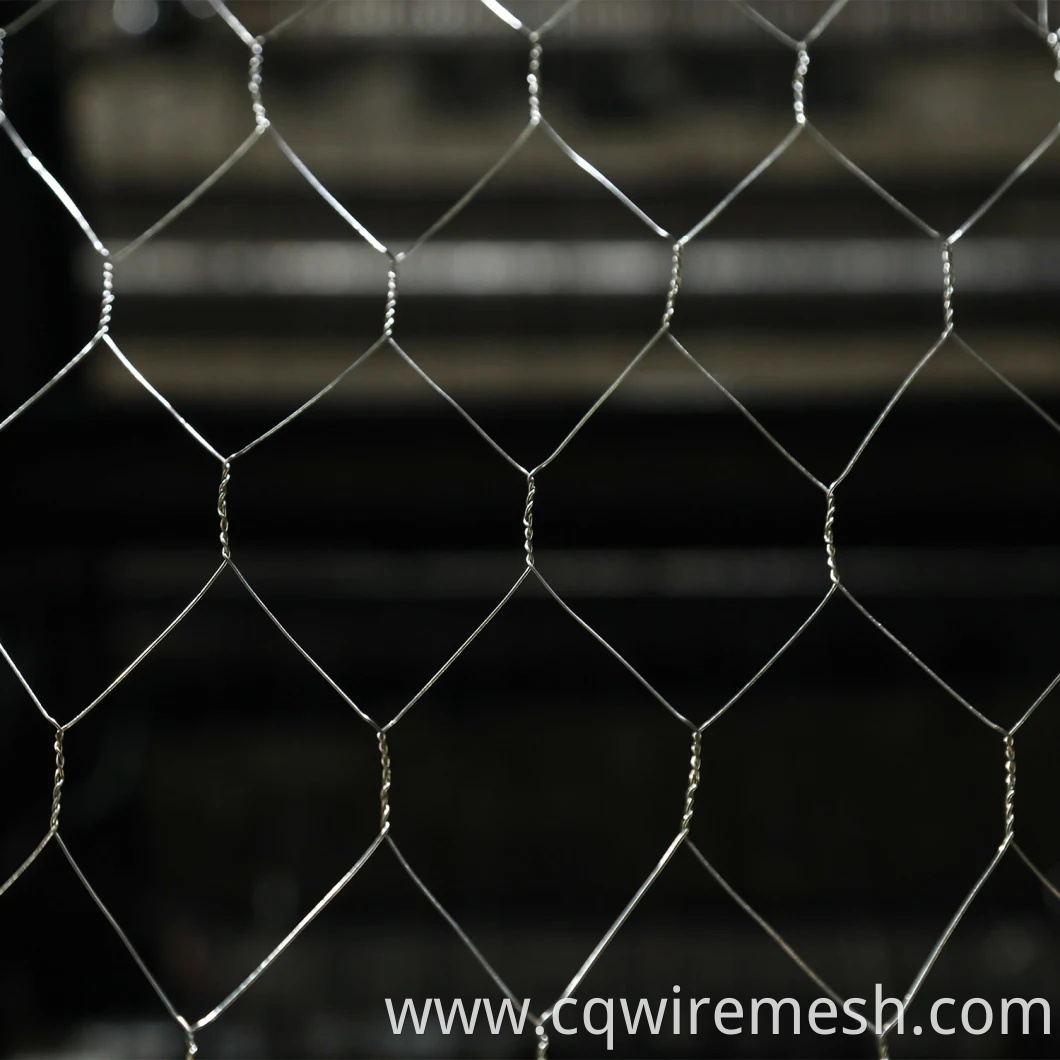 Galvanized Wire Mesh/Chicken Wire Mesh with Hexagonal Wire Netting